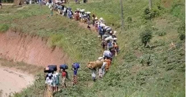 Beni face à une insécurité persistante, état des lieux et perspectives de réponse