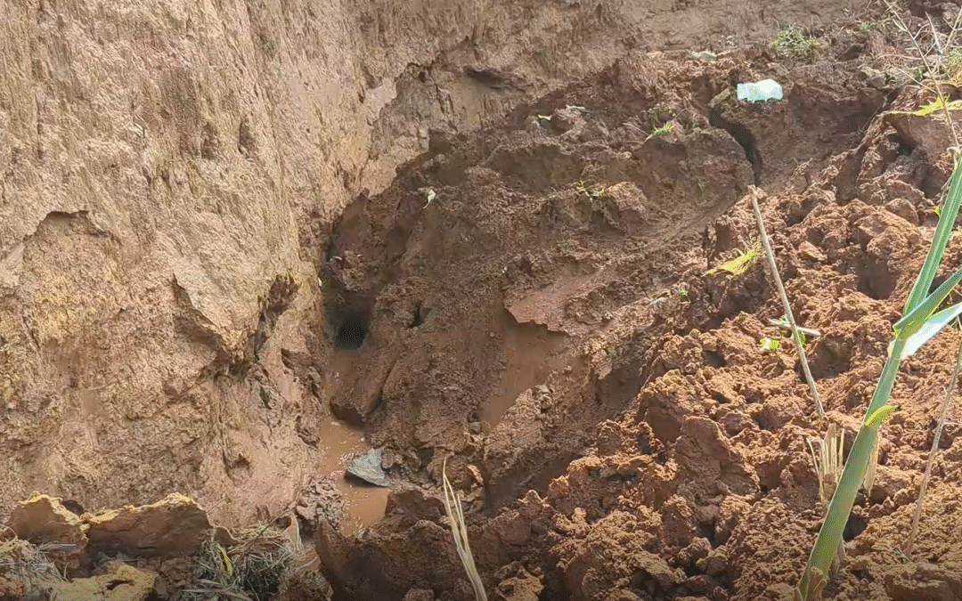 Butembo : quand l’érosion dévore la dignité humaine